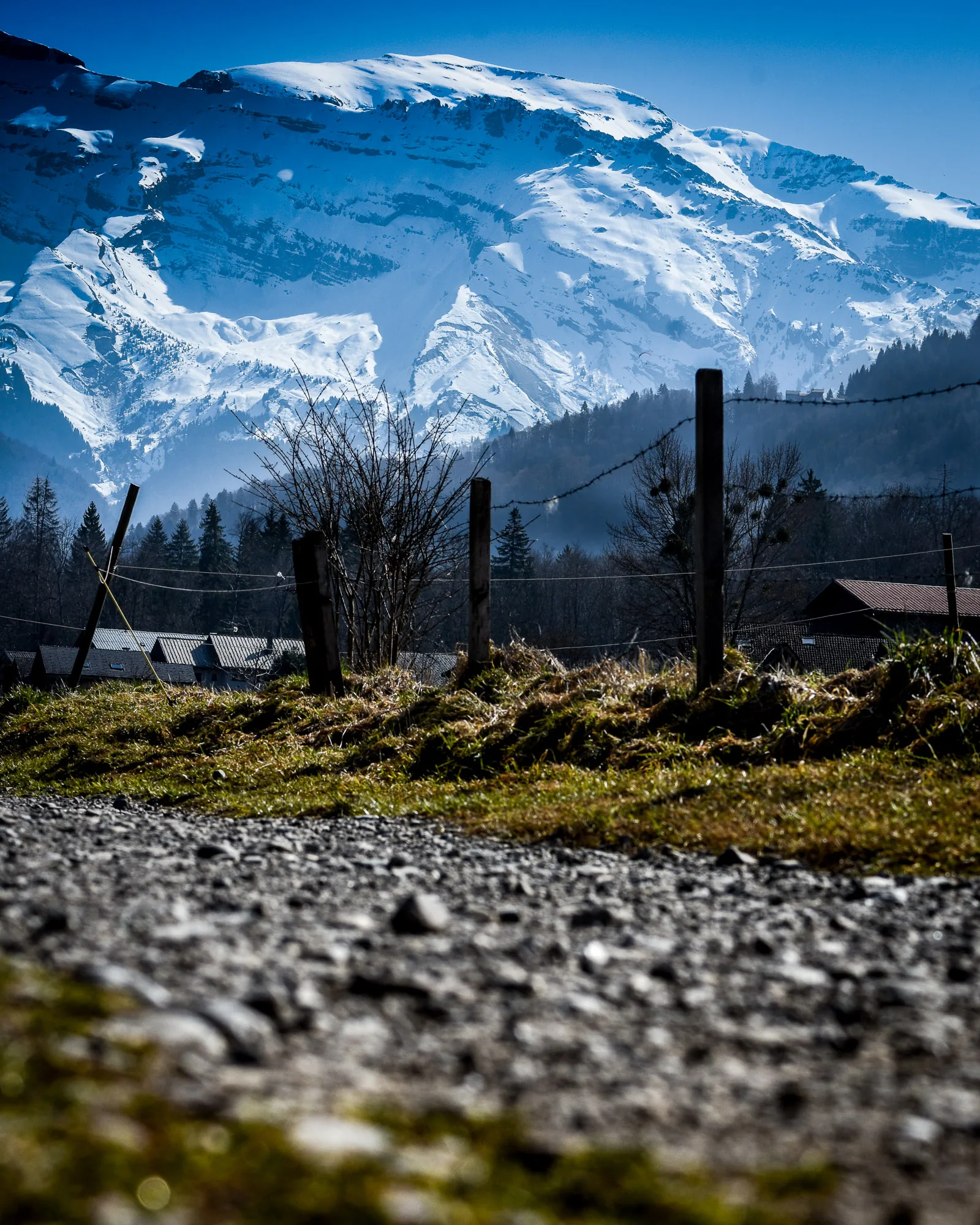 Snow-capped Alps rising behind a farm fence line