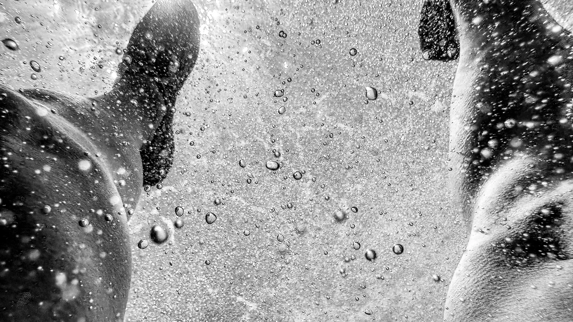 Close-up of bubbles and swimmers underwater, black and white abstract photography
